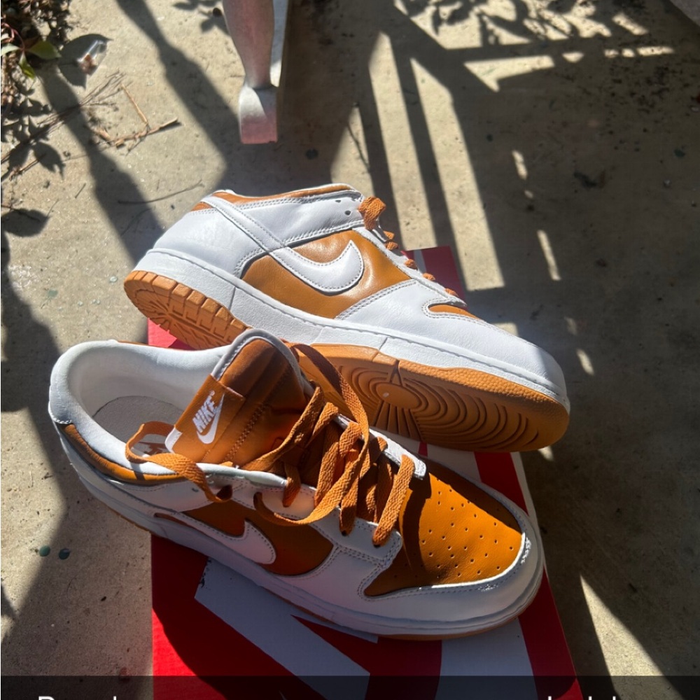 Nike Dunk Reverse Curry Men’s Sz.10